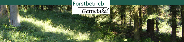 Forstbetrieb Gattwinkel